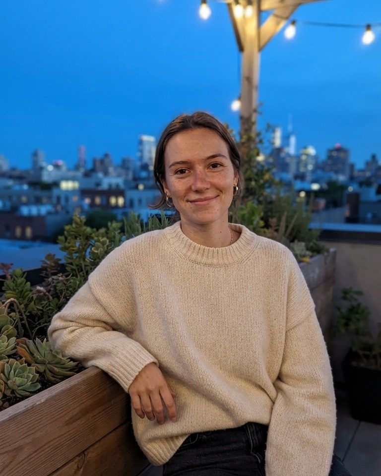 Rooftop Skyline: restyled photo